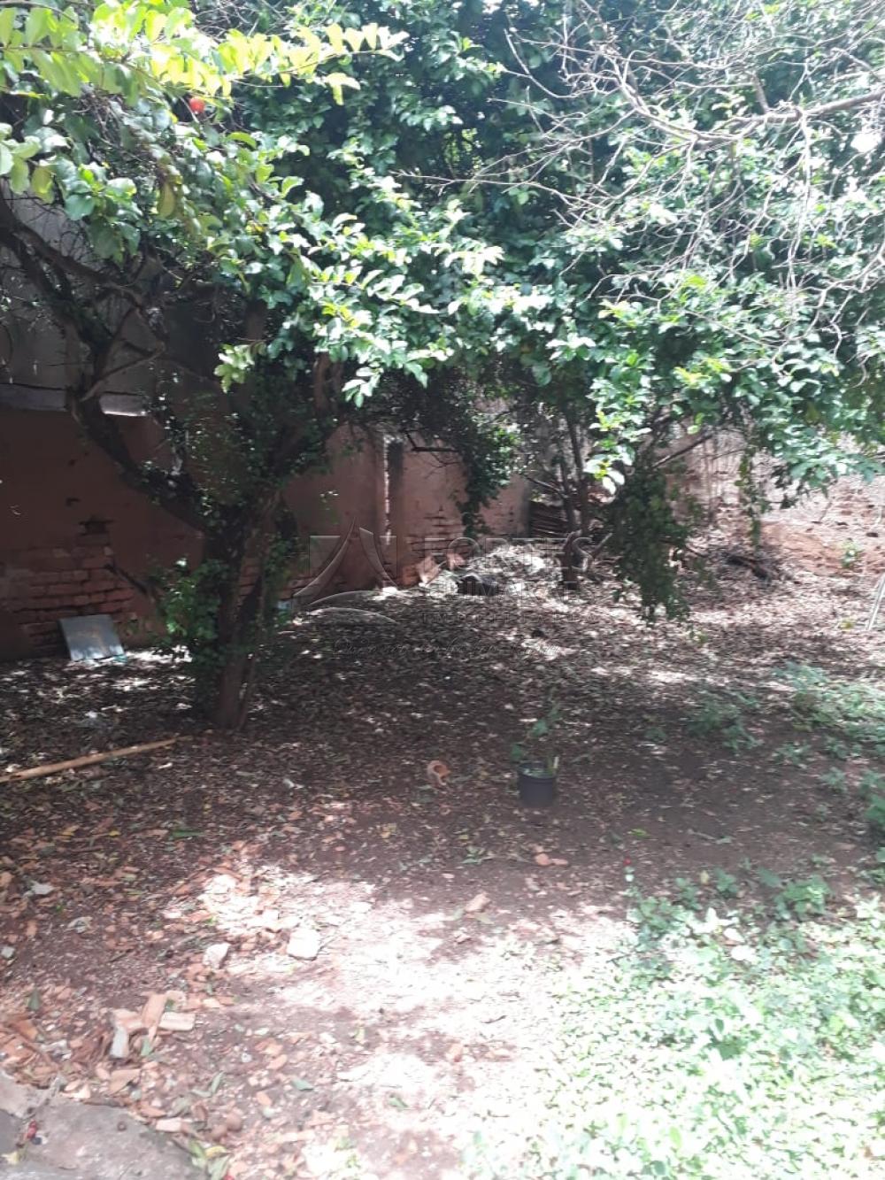 Alugar Casas / Padrão em Ribeirão Preto apenas R$ 850,00 - Foto 15 Alugar Casas / Padrão em Ribeirão Preto apenas R$ 850,00 - Foto 15