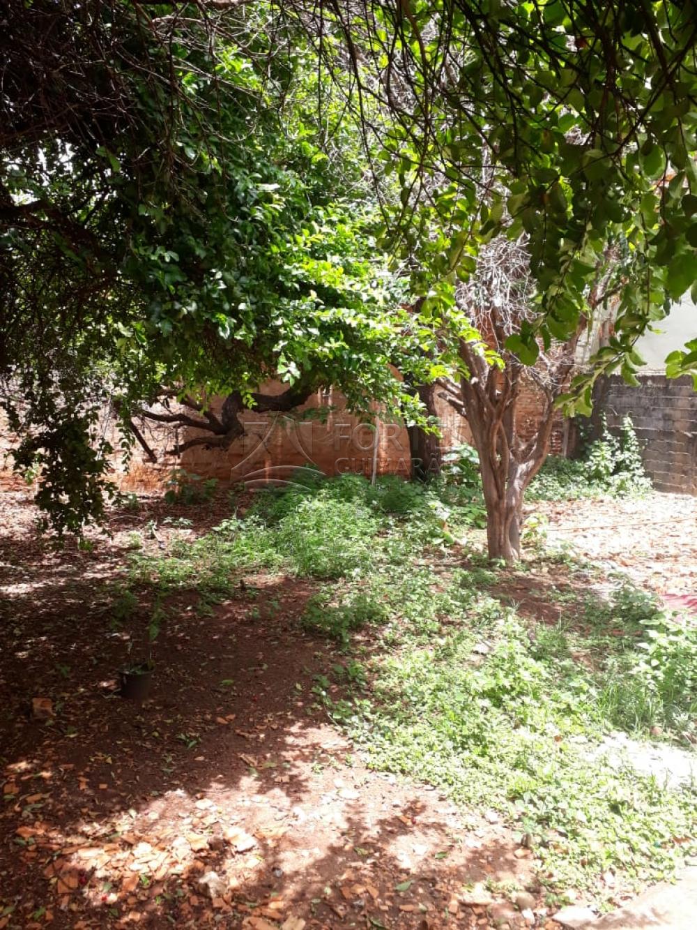 Alugar Casas / Padrão em Ribeirão Preto apenas R$ 850,00 - Foto 22 Alugar Casas / Padrão em Ribeirão Preto apenas R$ 850,00 - Foto 22