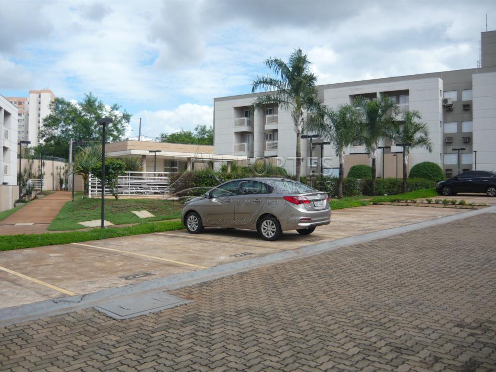 Alugar Apartamentos / Padrão em Ribeirão Preto apenas R$ 900,00 - Foto 14 Alugar Apartamentos / Padrão em Ribeirão Preto apenas R$ 900,00 - Foto 14
