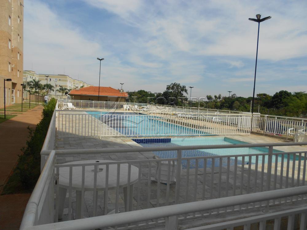 Alugar Apartamentos / Padrão em Ribeirão Preto apenas R$ 900,00 - Foto 13 Alugar Apartamentos / Padrão em Ribeirão Preto apenas R$ 900,00 - Foto 13
