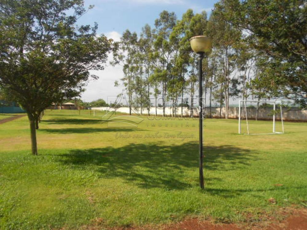 Alugar Casas / Condomínio em Jardinópolis apenas R$ 3.000,00 - Foto 92 Alugar Casas / Condomínio em Jardinópolis apenas R$ 3.000,00 - Foto 92