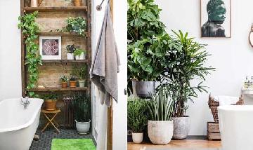 Inspirao: Veja dicas para usar plantas e flores no banheiro.