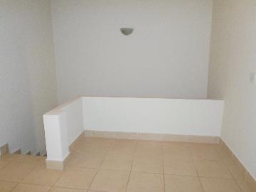 Alugar Casas / Padrão em Ribeirão Preto apenas R$ 950,00 - Foto 3 Alugar Casas / Padrão em Ribeirão Preto apenas R$ 950,00 - Foto 3