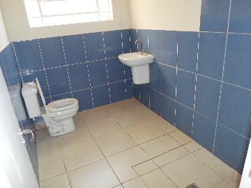 Alugar Casas / Padrão em Ribeirão Preto apenas R$ 950,00 - Foto 9 Alugar Casas / Padrão em Ribeirão Preto apenas R$ 950,00 - Foto 9