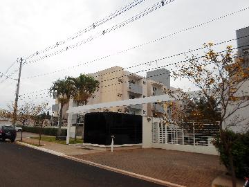 Alugar Apartamentos / Mobiliado em Ribeirão Preto apenas R$ 750,00 - Foto 1 Alugar Apartamentos / Mobiliado em Ribeirão Preto apenas R$ 750,00 - Foto 1