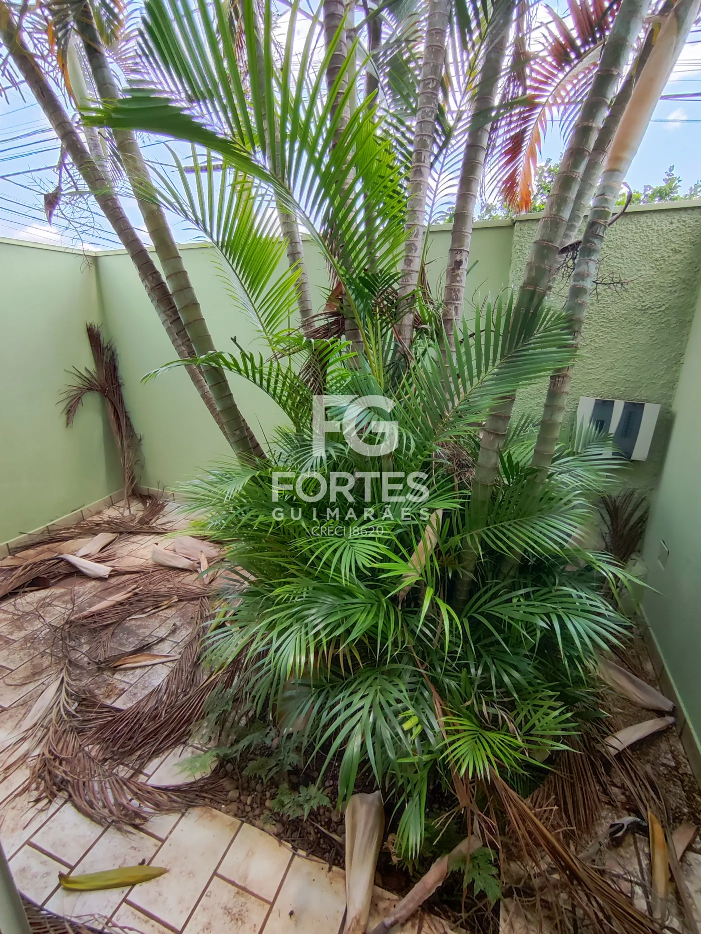 Alugar Casas / Padrão em Ribeirão Preto R$ 5.900,00 - Foto 16