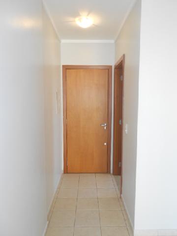 imagem 2 - Apartamentos - Padrão imagem 2 - Apartamentos - Padrão