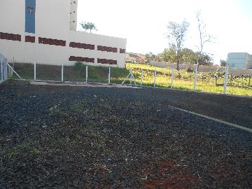 imagem 3 - Terrenos - Terreno imagem 3 - Terrenos - Terreno