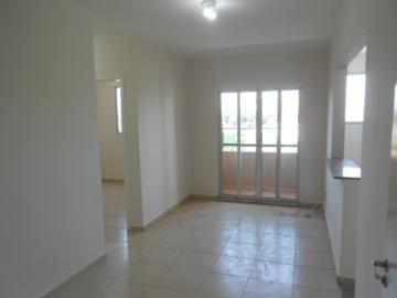 imagem 2 - Apartamentos - Padrão imagem 2 - Apartamentos - Padrão