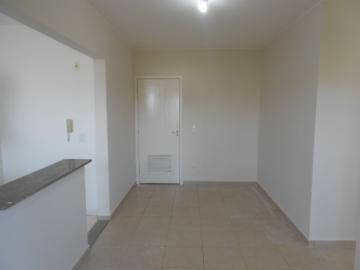 imagem 3 - Apartamentos - Padrão imagem 3 - Apartamentos - Padrão