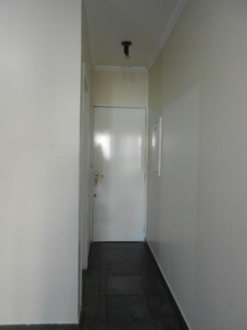 imagem 2 - Apartamentos - Padrão imagem 2 - Apartamentos - Padrão