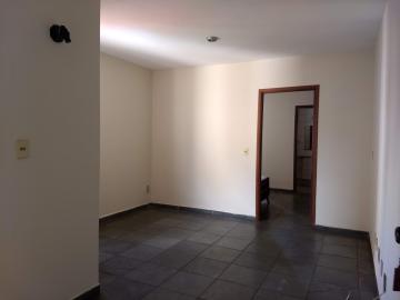 imagem 2 - Apartamentos - Padrão imagem 2 - Apartamentos - Padrão