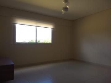 imagem 5 - Apartamento  Mobiliado com 35m² no Bairro Nova Aliança Sul! imagem 5 - Apartamento  Mobiliado com 35m² no Bairro Nova Aliança Sul!