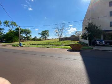 Alugar Terrenos / Terreno em Ribeirão Preto. apenas R$ 15.000,00