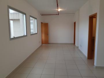 imagem 1 - Sala Comercial ao lado do Parque Raya, avenida Wladimir Meirelles Ferreira, 48m² no Bairro Jardim Botânico. imagem 1 - Sala Comercial ao lado do Parque Raya, avenida Wladimir Meirelles Ferreira, 48m² no Bairro Jardim Botânico.