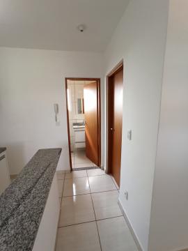imagem 4 - Apartamentos - Padrão imagem 4 - Apartamentos - Padrão