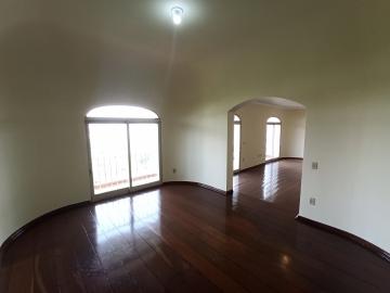 imagem 5 - Apartamentos - Padrão imagem 5 - Apartamentos - Padrão
