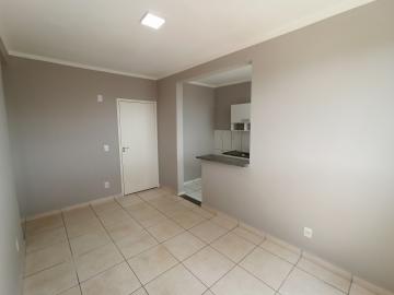 imagem 3 - Apartamento com 46m² na City Ribeirão, próximo do parque Raya, com 2 quartos, armários (guarda roupas), 1 banheiro social com gabinete, espelho e box em vidro; imagem 3 - Apartamento com 46m² na City Ribeirão, próximo do parque Raya, com 2 quartos, armários (guarda roupas), 1 banheiro social com gabinete, espelho e box em vidro;