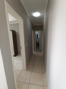 imagem 5 - Apartamento com 46m² na City Ribeirão, próximo do parque Raya, com 2 quartos, armários (guarda roupas), 1 banheiro social com gabinete, espelho e box em vidro; imagem 5 - Apartamento com 46m² na City Ribeirão, próximo do parque Raya, com 2 quartos, armários (guarda roupas), 1 banheiro social com gabinete, espelho e box em vidro;