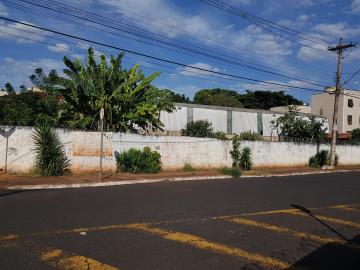imagem 2 - Excelente ponto em avenida imagem 2 - Excelente ponto em avenida