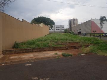 imagem 1 - Terreno comercial de frente para Av. Maurílio Biagi imagem 1 - Terreno comercial de frente para Av. Maurílio Biagi