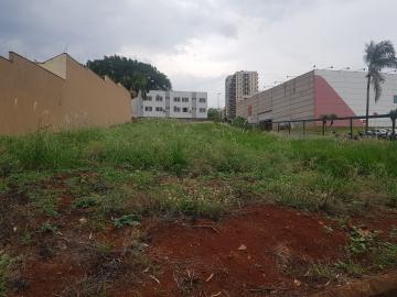 imagem 3 - Terreno comercial de frente para Av. Maurílio Biagi imagem 3 - Terreno comercial de frente para Av. Maurílio Biagi