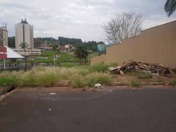 imagem 4 - Terreno comercial de frente para Av. Maurílio Biagi imagem 4 - Terreno comercial de frente para Av. Maurílio Biagi