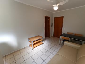 imagem 3 - Apartamento Térreo Mobiliado ao lado da faculdade UNIP e hospital UNIMED imagem 3 - Apartamento Térreo Mobiliado ao lado da faculdade UNIP e hospital UNIMED