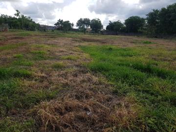 imagem 1 - Terreno plano/Vila Vila Virgínia imagem 1 - Terreno plano/Vila Vila Virgínia