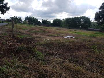 imagem 2 - Terreno plano/Vila Vila Virgínia imagem 2 - Terreno plano/Vila Vila Virgínia