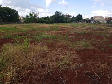 imagem 3 - Terreno plano/Vila Vila Virgínia imagem 3 - Terreno plano/Vila Vila Virgínia