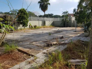 imagem 4 - Excelente localização em avenida imagem 4 - Excelente localização em avenida