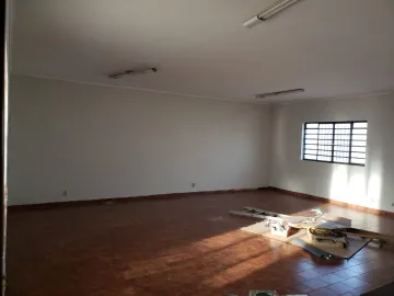 imagem 5 - Salão no Ipiranga imagem 5 - Salão no Ipiranga