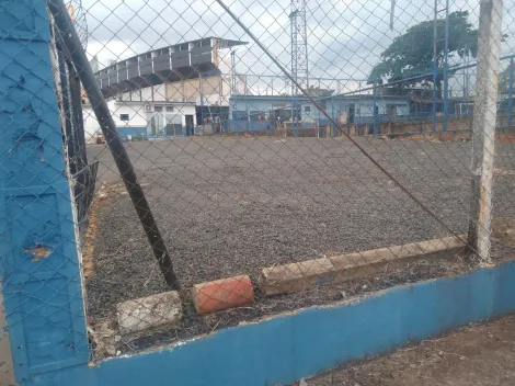 imagem 2 - Terreno Comercial, Com Área Para Escritórios, 500 m2, Jardim Palma Travassos imagem 2 - Terreno Comercial, Com Área Para Escritórios, 500 m2, Jardim Palma Travassos