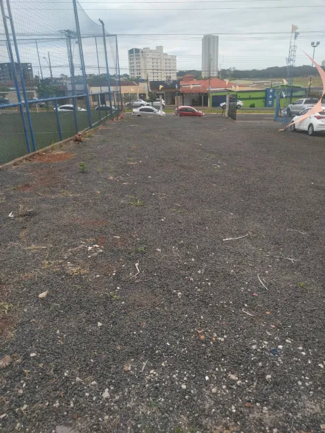 imagem 5 - Terreno Comercial, Com Área Para Escritórios, 500 m2, Jardim Palma Travassos imagem 5 - Terreno Comercial, Com Área Para Escritórios, 500 m2, Jardim Palma Travassos