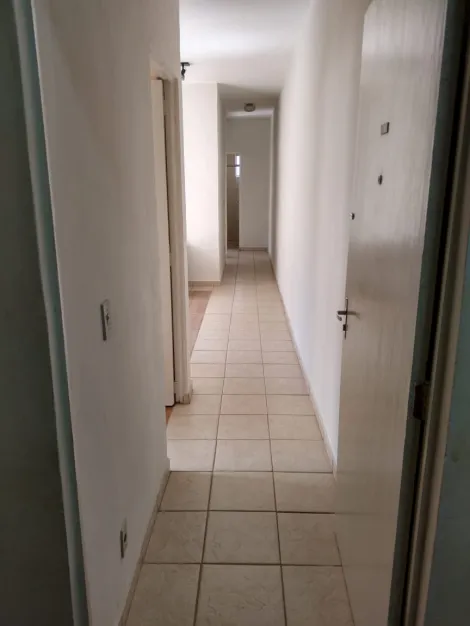 imagem 1 - Apartamento Para Locação, 02 Quartos, 54 m², Jardim Palma Travassos imagem 1 - Apartamento Para Locação, 02 Quartos, 54 m², Jardim Palma Travassos