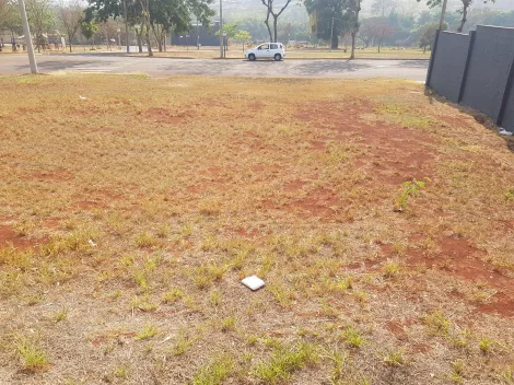 imagem 3 - Terreno comercial em avenida/Terras de Santa Marta imagem 3 - Terreno comercial em avenida/Terras de Santa Marta