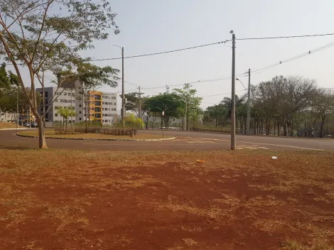 imagem 4 - Terreno comercial em avenida/Terras de Santa Marta imagem 4 - Terreno comercial em avenida/Terras de Santa Marta