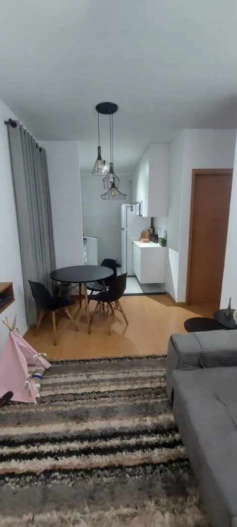 imagem 2 - Apartamento Para Locação, 02 Quartos, 40 m2, Jardim Castelo Branco imagem 2 - Apartamento Para Locação, 02 Quartos, 40 m2, Jardim Castelo Branco