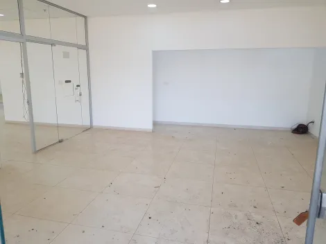 imagem 5 - Loja comercial, 463,29 m² de área, Jd. Botânico imagem 5 - Loja comercial, 463,29 m² de área, Jd. Botânico