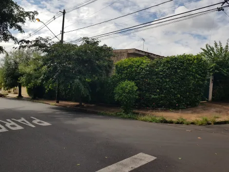 imagem 2 - Casa térrea, 3 quartos/suíte (salas), Jd. São Luiz imagem 2 - Casa térrea, 3 quartos/suíte (salas), Jd. São Luiz