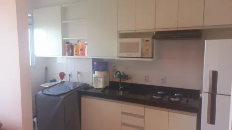 imagem 5 - Apartamento Para Locação, 02 Quartos, 44,32, Quinta da Primavera imagem 5 - Apartamento Para Locação, 02 Quartos, 44,32, Quinta da Primavera
