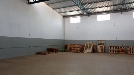 imagem 2 - Galpão com 439m² no Bairro Jardim Salgado Filho! imagem 2 - Galpão com 439m² no Bairro Jardim Salgado Filho!