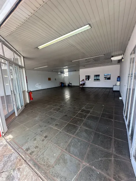 imagem 4 - Imóvel Comercial com 227 m² no Bairro Jardim Paulistano! imagem 4 - Imóvel Comercial com 227 m² no Bairro Jardim Paulistano!