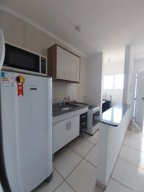 imagem 4 - Apartamento Mobiliado no Bairro Vila Monte Alegre de 1 Quarto com 31 m² de área construída! imagem 4 - Apartamento Mobiliado no Bairro Vila Monte Alegre de 1 Quarto com 31 m² de área construída!