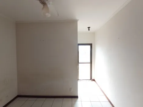 imagem 5 - Apartamento com 36m² 1 Quarto com Suíte, para Alugar no Jardim Irajá imagem 5 - Apartamento com 36m² 1 Quarto com Suíte, para Alugar no Jardim Irajá